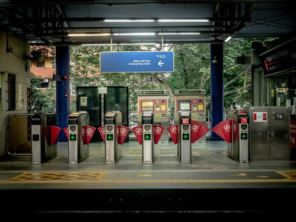 Quelles sont les meilleures pratiques pour camper en région de forêt de conifères en hiver?