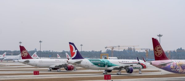 Où découvrir les traditions et les cultures des tribus Maasai au Kenya : visites et expériences recommandées ?